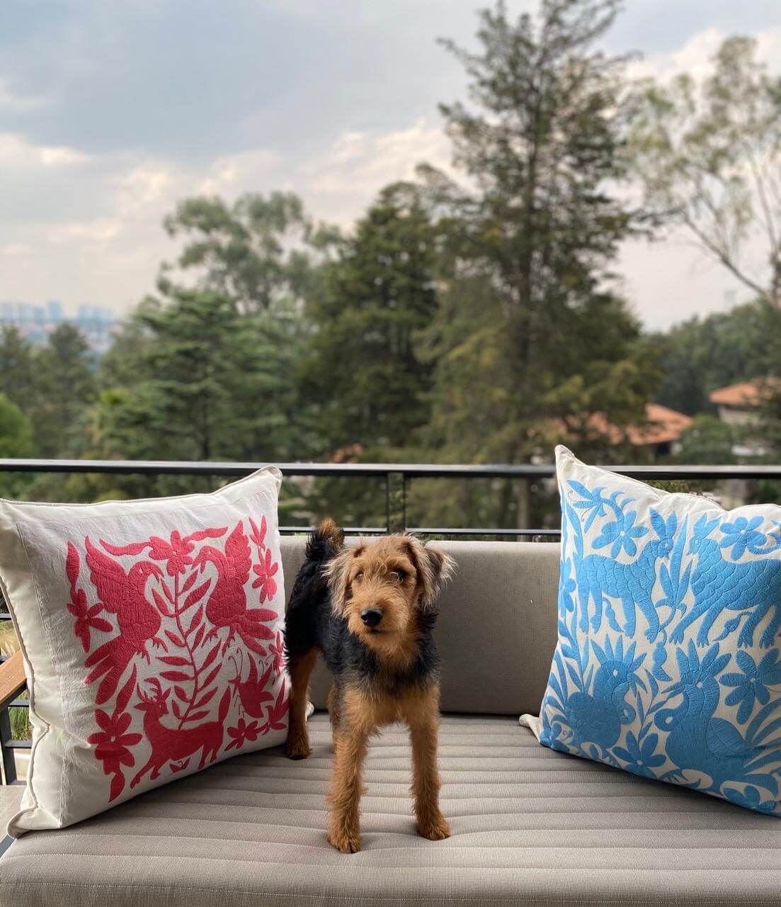 Cojín Otomí Bordado Flora y Fauna