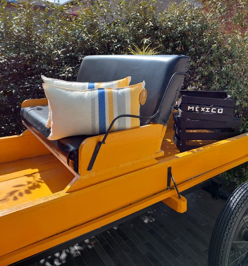 Cojín Zapoteco Lumbar