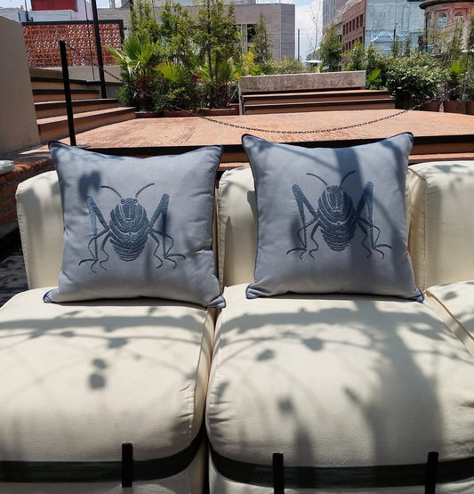 Cojín Mazahua Chapulín