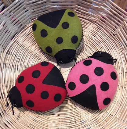 Mongo (Nahual) - Catarina