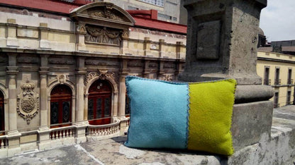 Cojín Lana Lumbar Bicolor